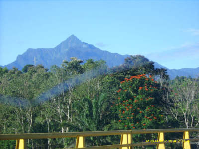 LaCeiba Mountains